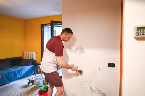 Best Mold Removal Near Me  in Parkwood, WA