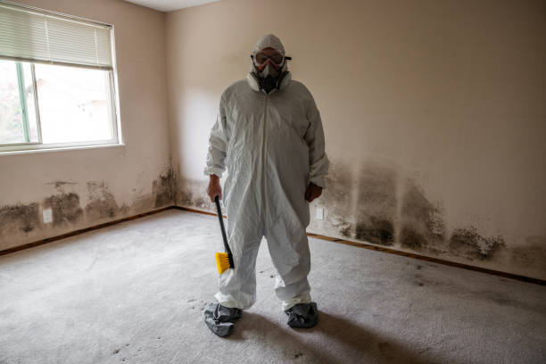 Best Mold Remediation Services  in Parkwood, WA